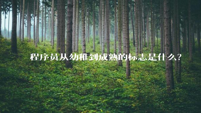 程序员从幼稚到成熟的标志是什么？