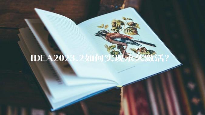IDEA2023.2如何实现永久激活？