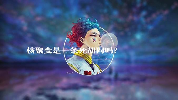 核聚变是一条死胡同吗？